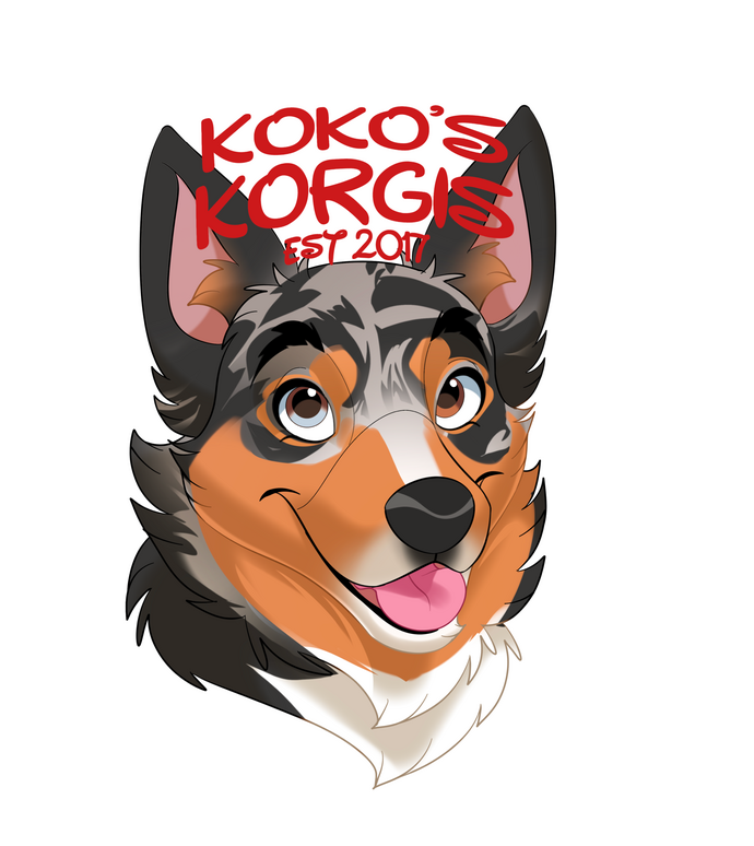 Kokos Korgis Logo